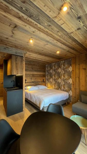 RESIDENCE GRAND COCOR -Studio 25 m2- Val-D'isère